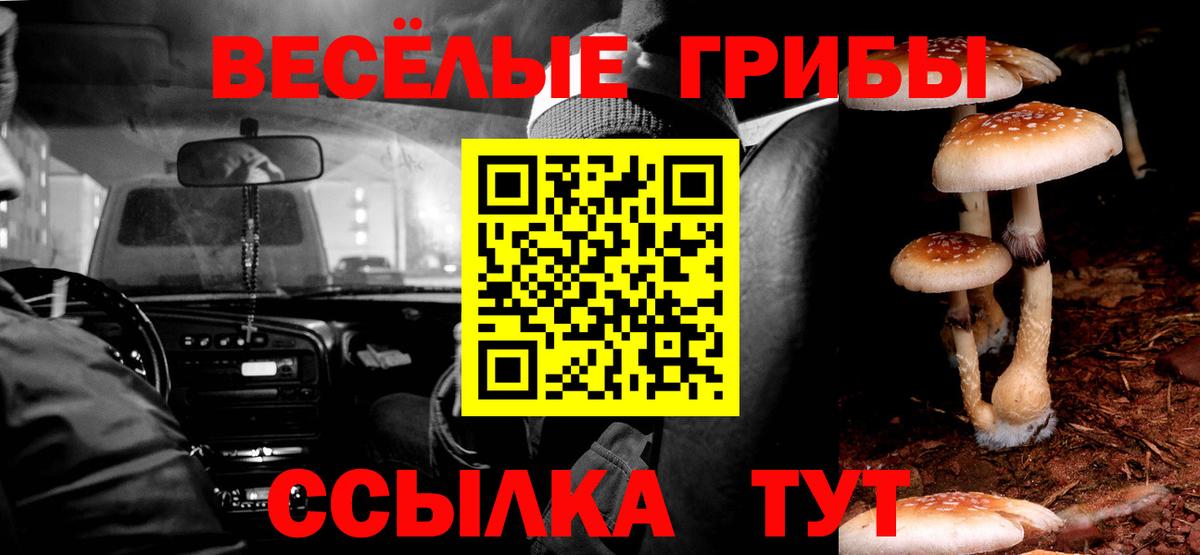 Галлюциногенные грибы мицелий  Вход с VPN  Галлюциногенные грибы мухоморы  Петропавловск-Камчатский 