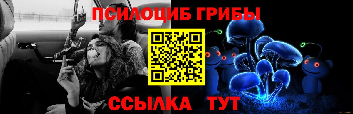 Псилоцибиновые грибы GOLDEN TEACHER Петропавловск-Камчатский